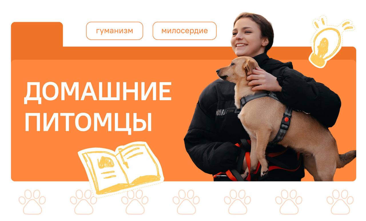 Домашние питомцы